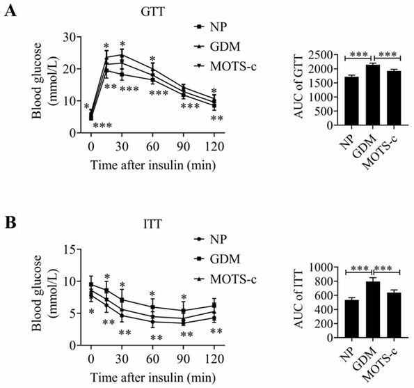 Application of MOTS-c peptide and derivative thereof in preparation of medicine for treating gestational diabetes mellitus