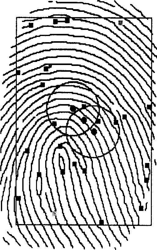 Certainty coding method and system in fingerprint identification