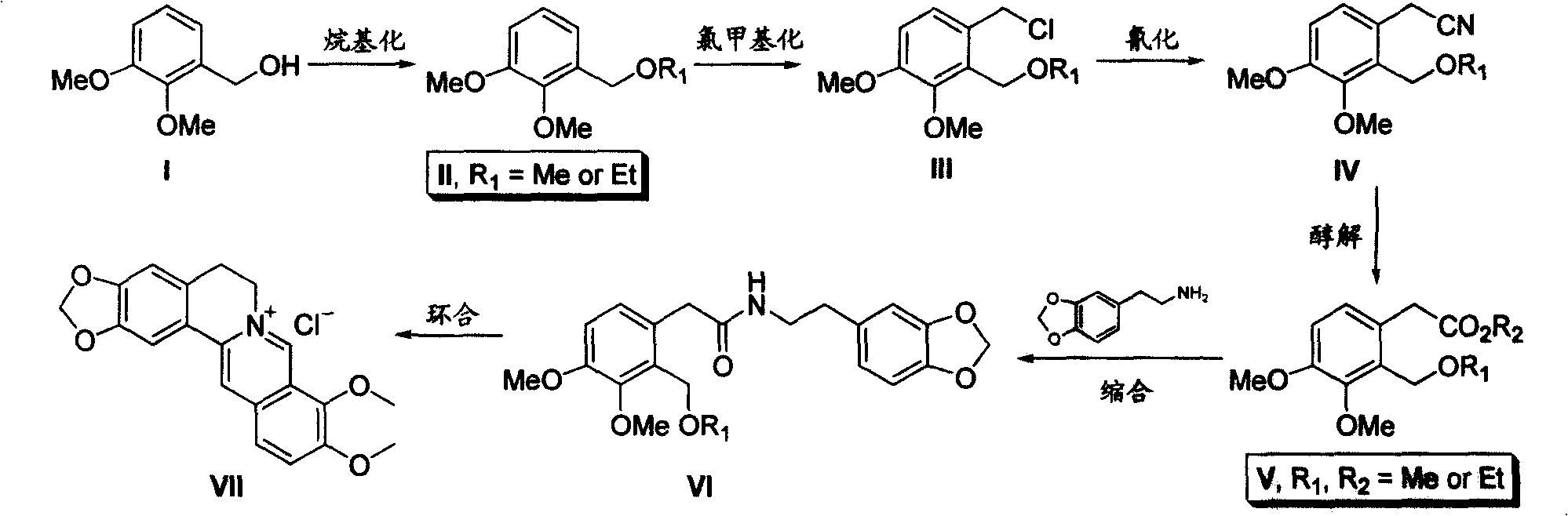 Process for producing hydrochloric berberine