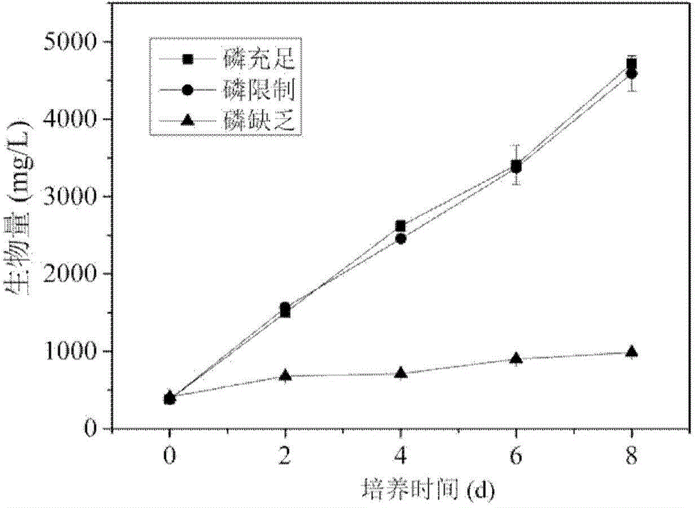 Method for increasing yield of microalgae fatty acid in heterotrophism