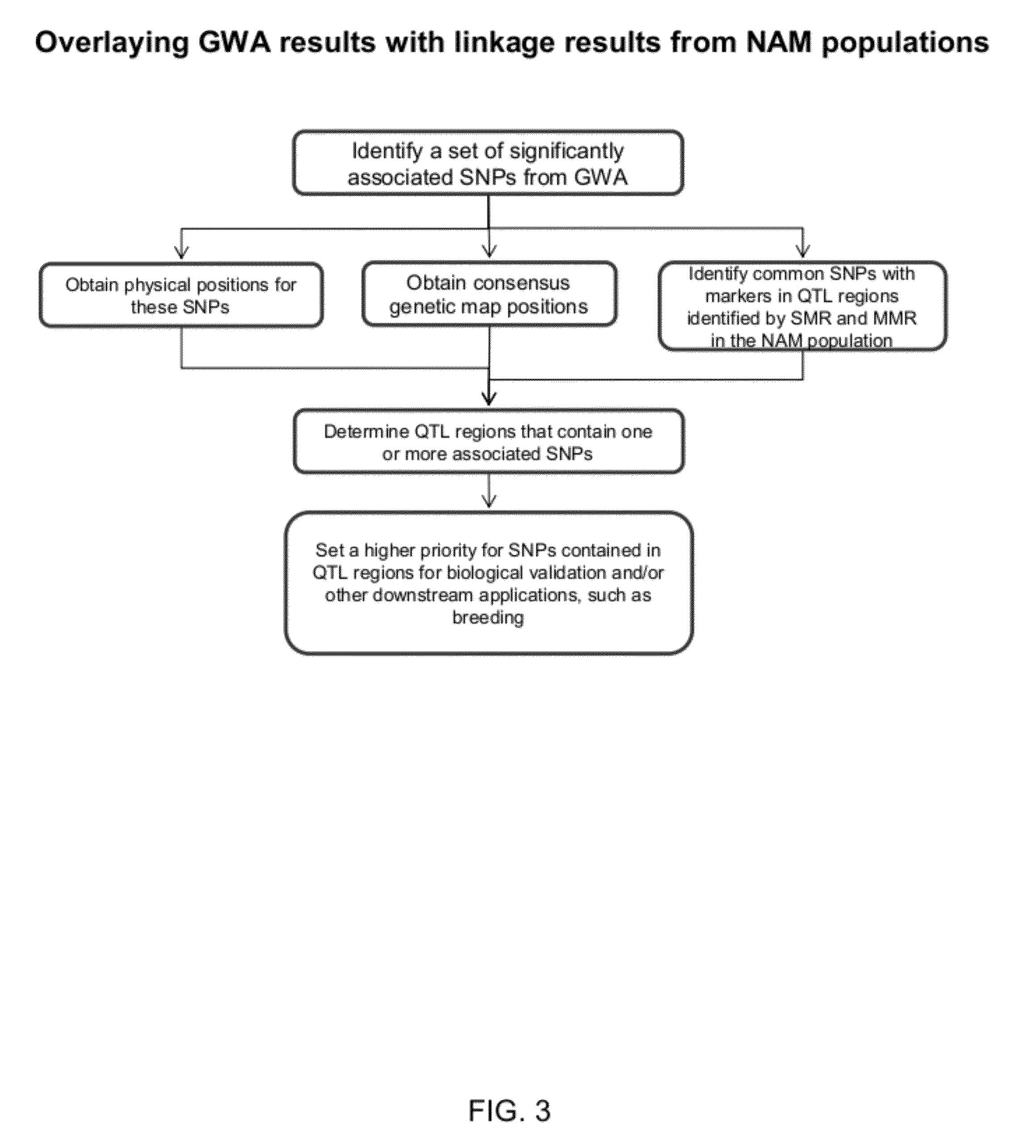 Method for selecting statistically validated candidate genes