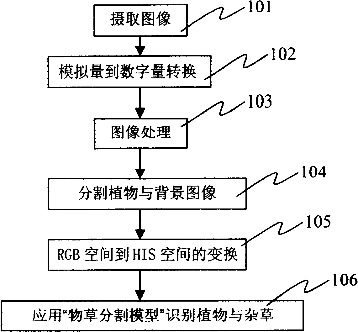 Method for automatic identifying weeds in field and medicine spraying device