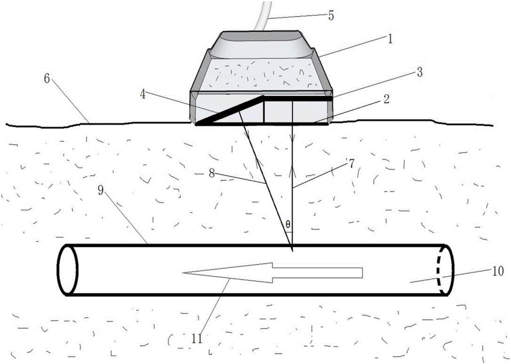 Ultrasonic probe for collecting arterial pulse signals and lumen internal wall face blood signals in corresponding positions