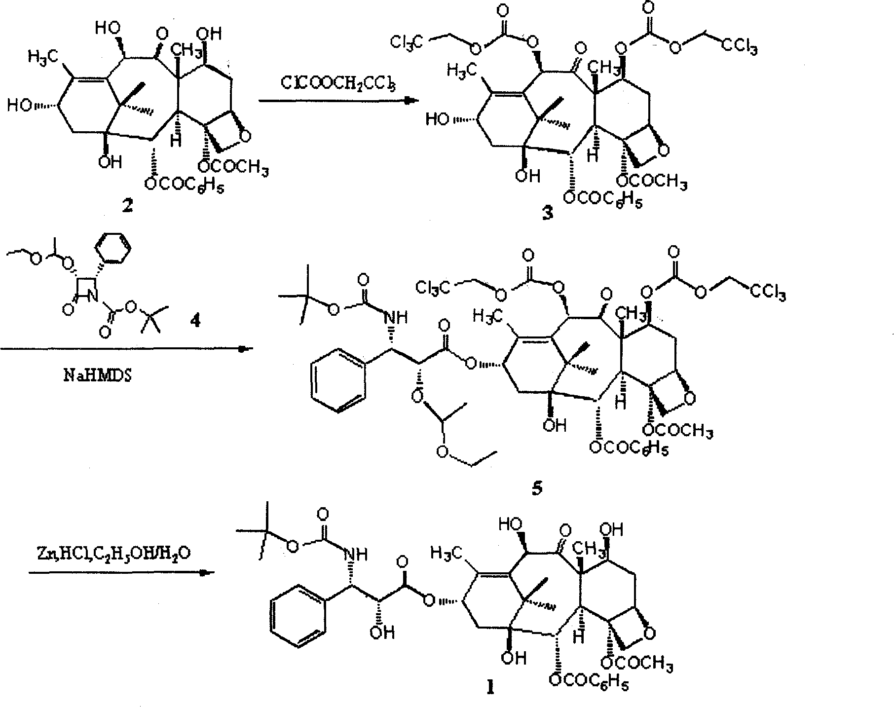 Synthesis process of polyene taxol