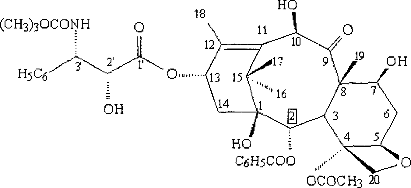 Synthesis process of polyene taxol