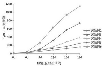 Amplification method of in-vitro NK cells and NK cells thereof