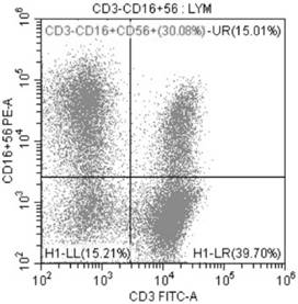 Amplification method of in-vitro NK cells and NK cells thereof