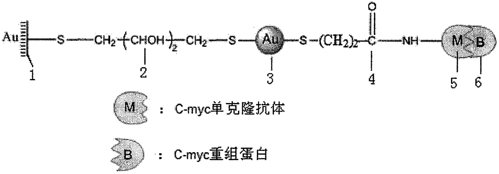 LSPR (Localized Surface Plasmon Resonance) sensing chip for detecting recombinant protein of carcinogene C-myc