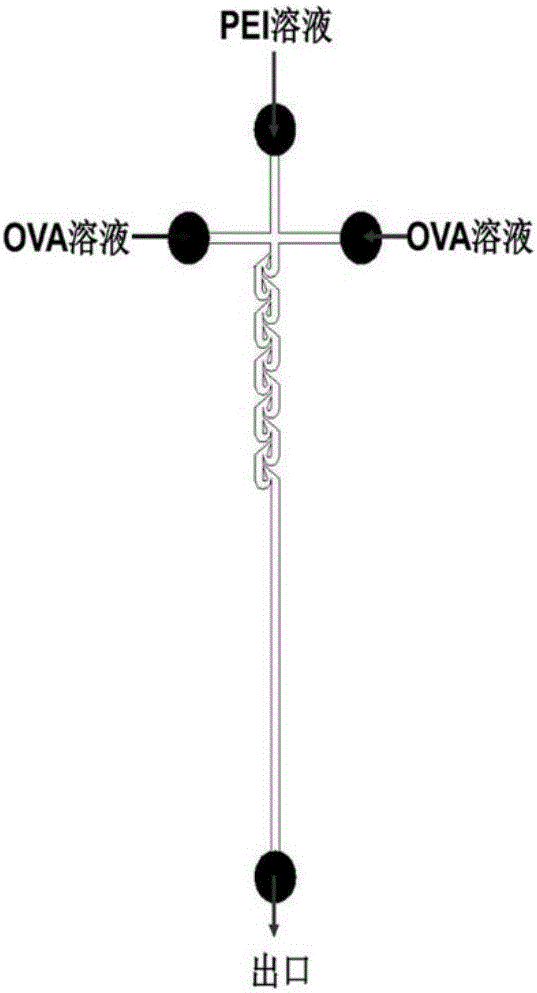 Microfluid preparation method for tumor therapeutic vaccine nanocarriers