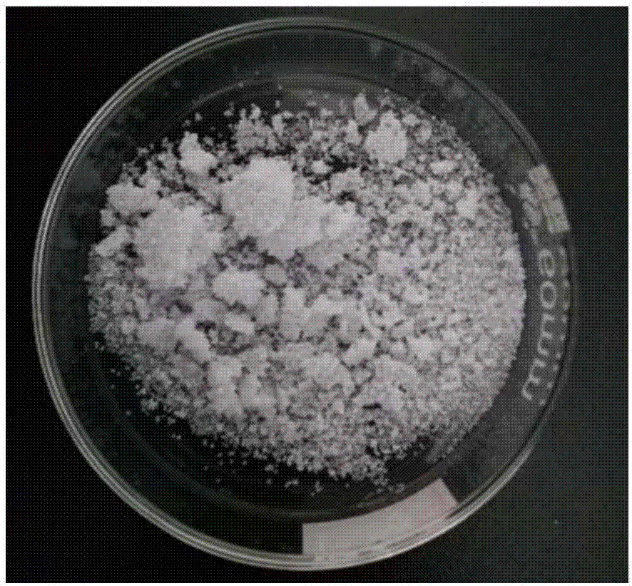 Sodium chloride spherocrystals and preparation method thereof