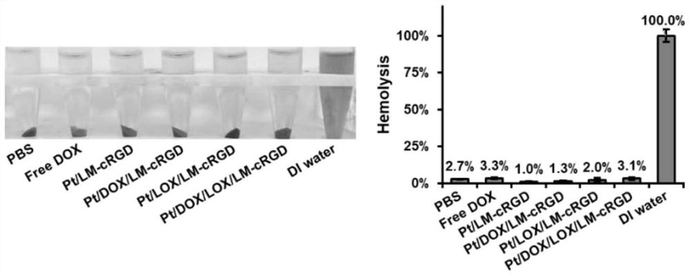 Nanometer preparation of porous Pt nanoflower loaded lactate oxidase as well as preparation and application of nanometer preparation