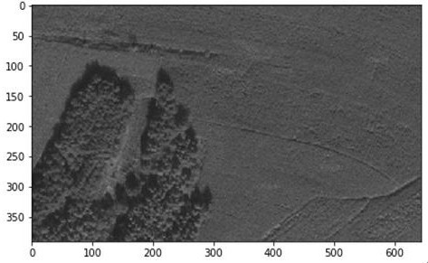 Remote sensing image vegetation classification method based on gradient scale interval change rule operator