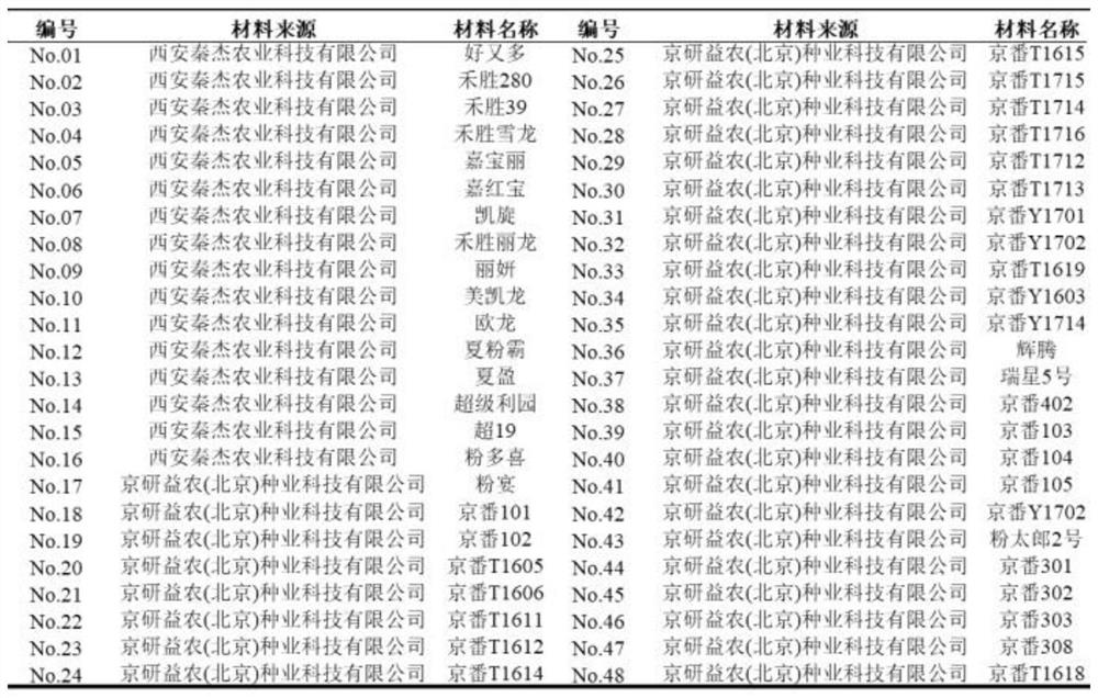 SNP marker closely linked to tomato root-knot nematode resistance gene mi1 and its application