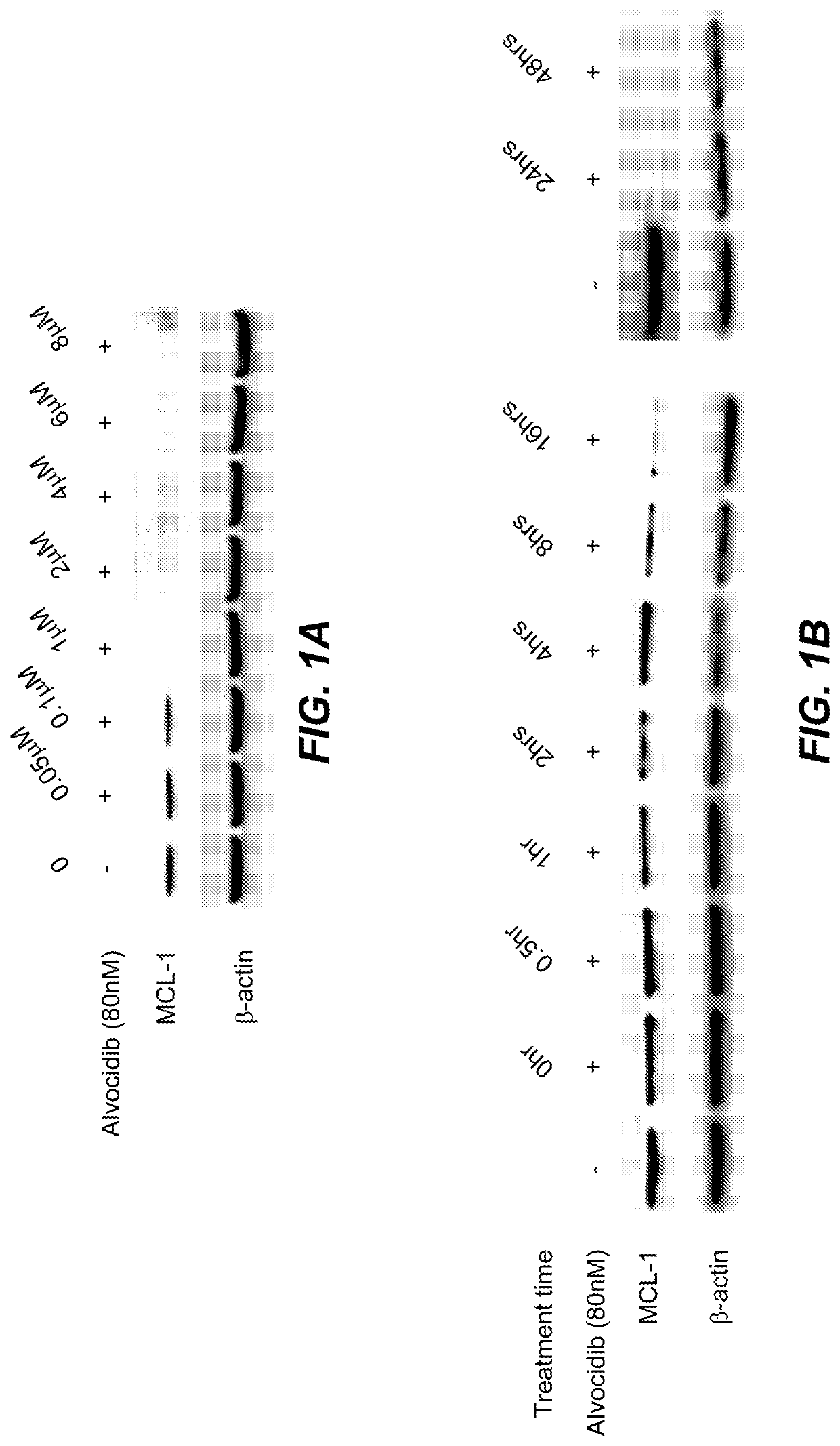 Combination therapies for treatment of cancer