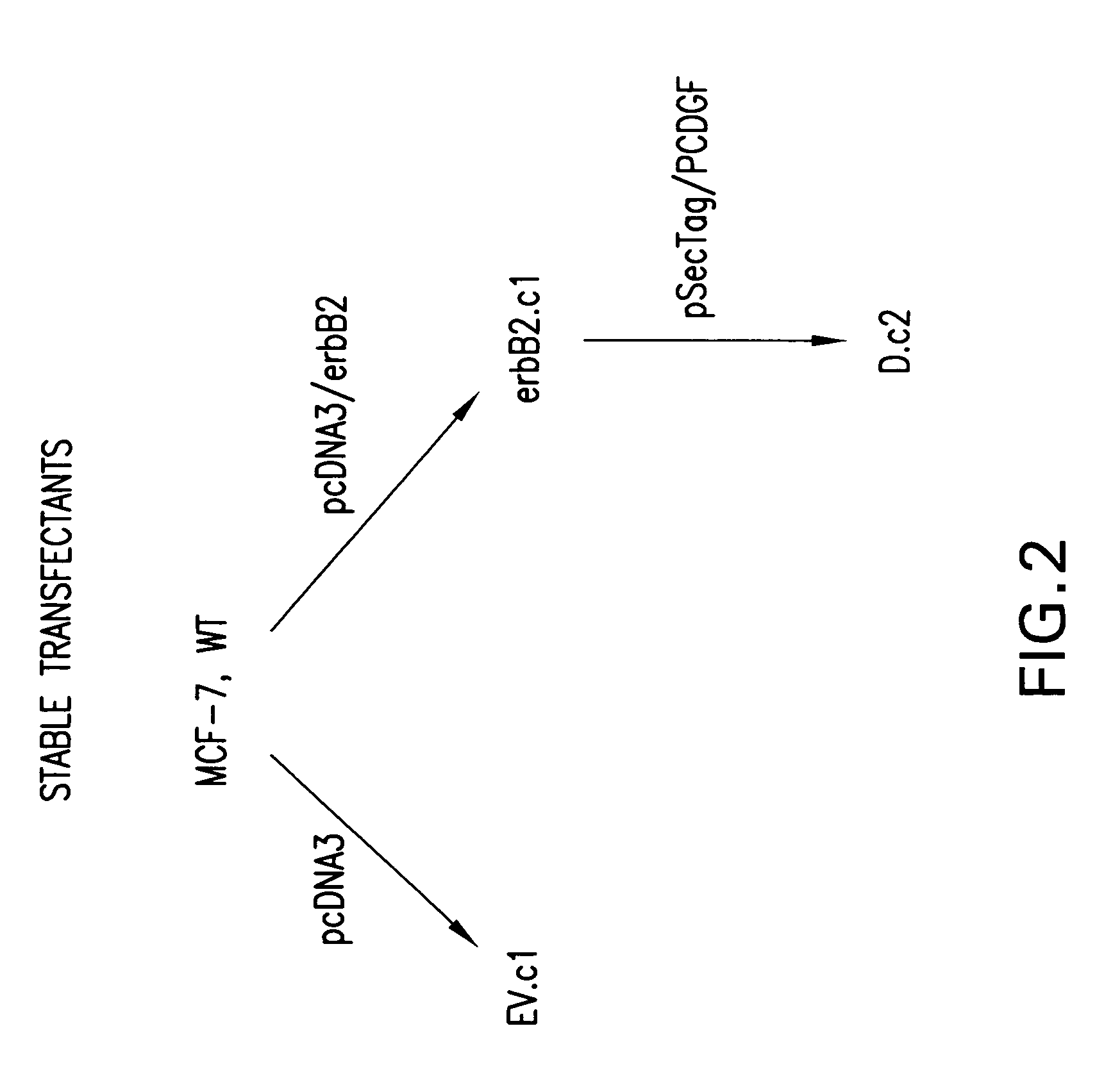 Compositions and methods for restoring sensitivity to treatment with HER2 antagonists