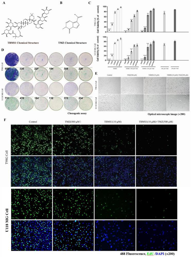 Medicine for treating glioblastoma and application thereof