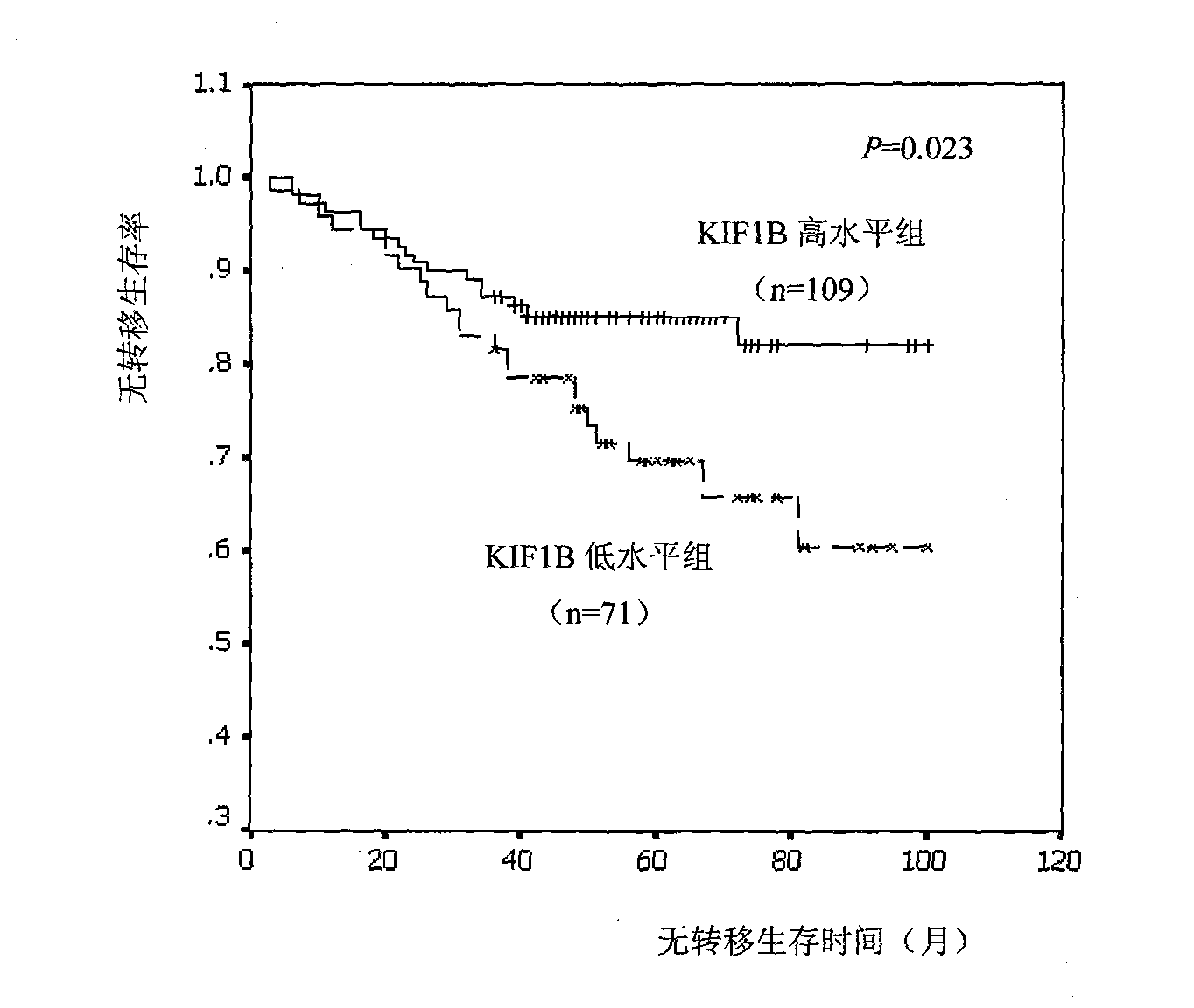 Relative transferring function of kinesin family member KIF1B, landmark application thereof in predicting tumor patient prognosis and application method thereof