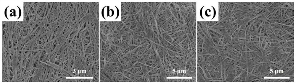 Bionic system and method for in-vitro regulation and control of inorganic salt crystallization