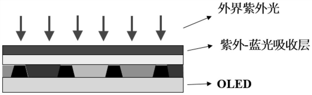 OLED display structure and display device