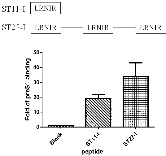 Short peptide for inhibiting human hepatitis B virus infection and its application