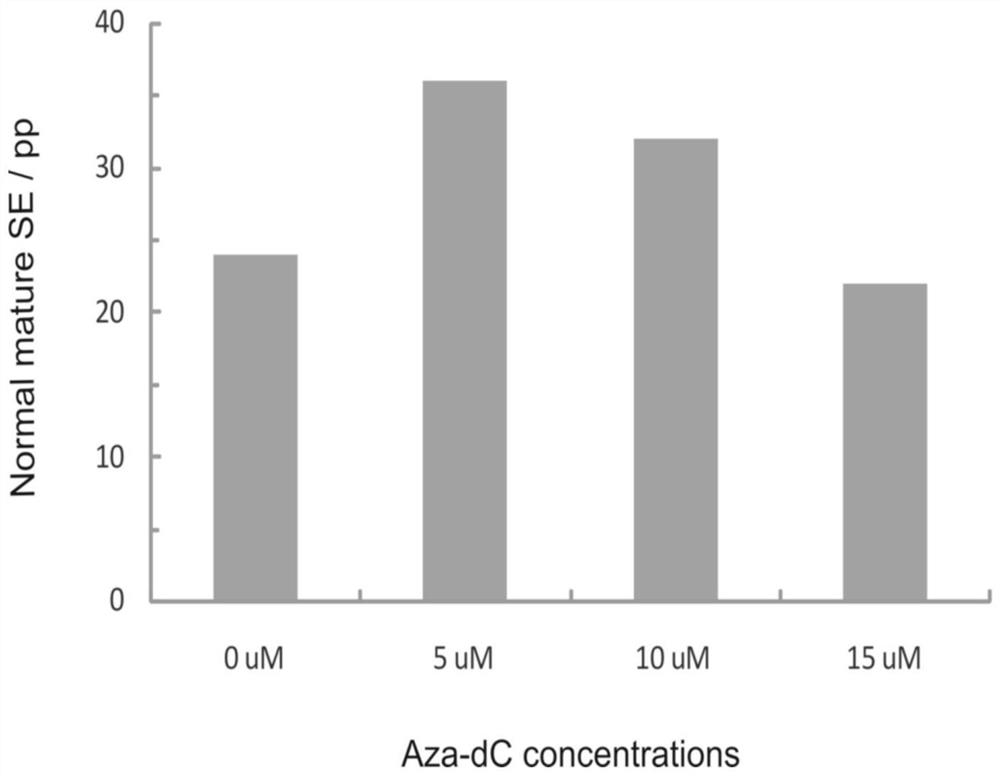 Propagation method for pseudotsuga sinensis dode plant through somatic embryogenesis