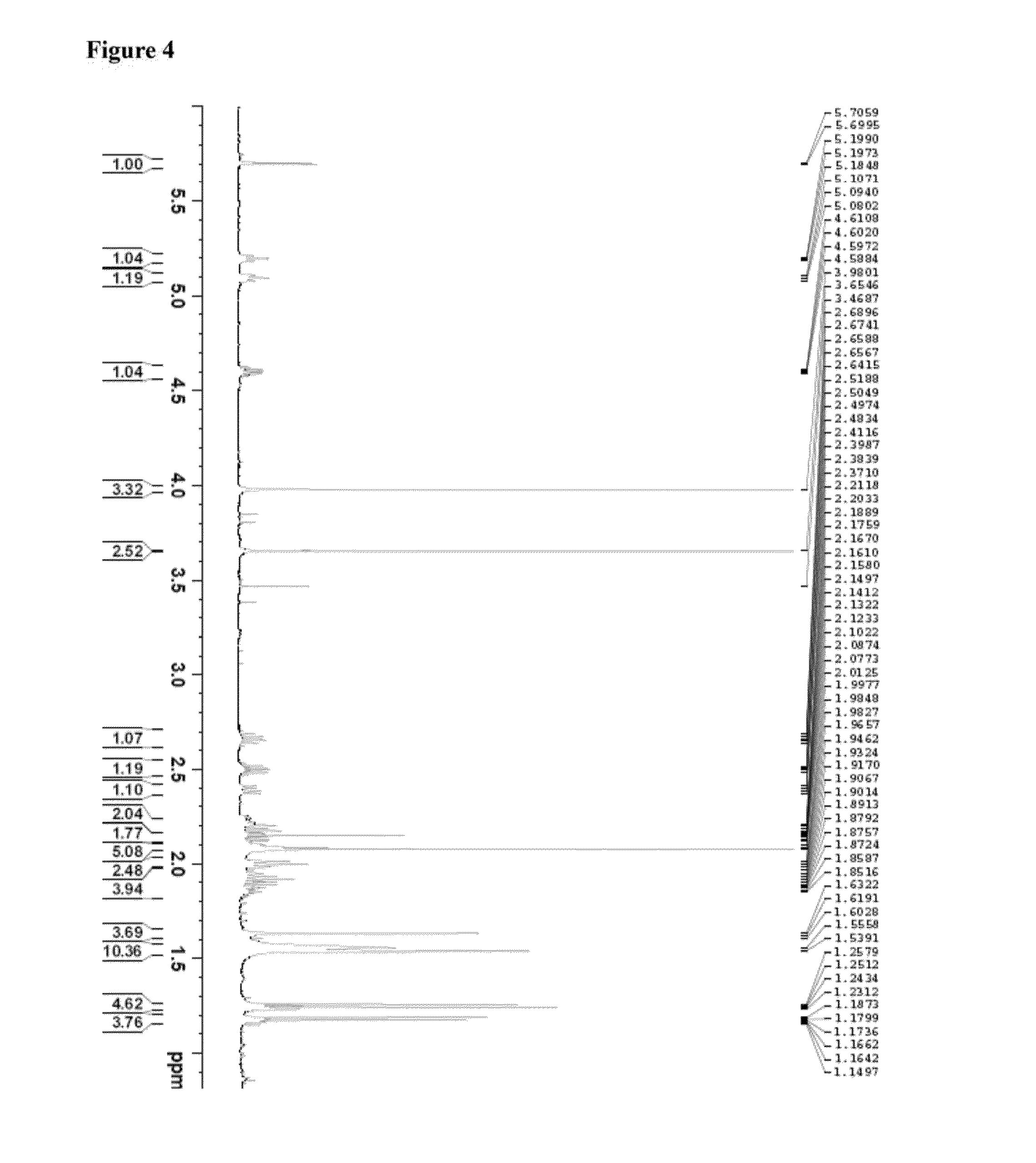 Method for treating a cancer caused by cancer stem cells