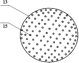 Method and special device for hatching and preferring sepiella maindroni oosperms