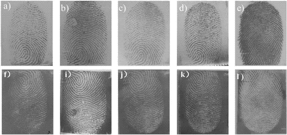 Composite membrane for latent fingerprint transfer or developing or content integrated full-dry state detection and detection method