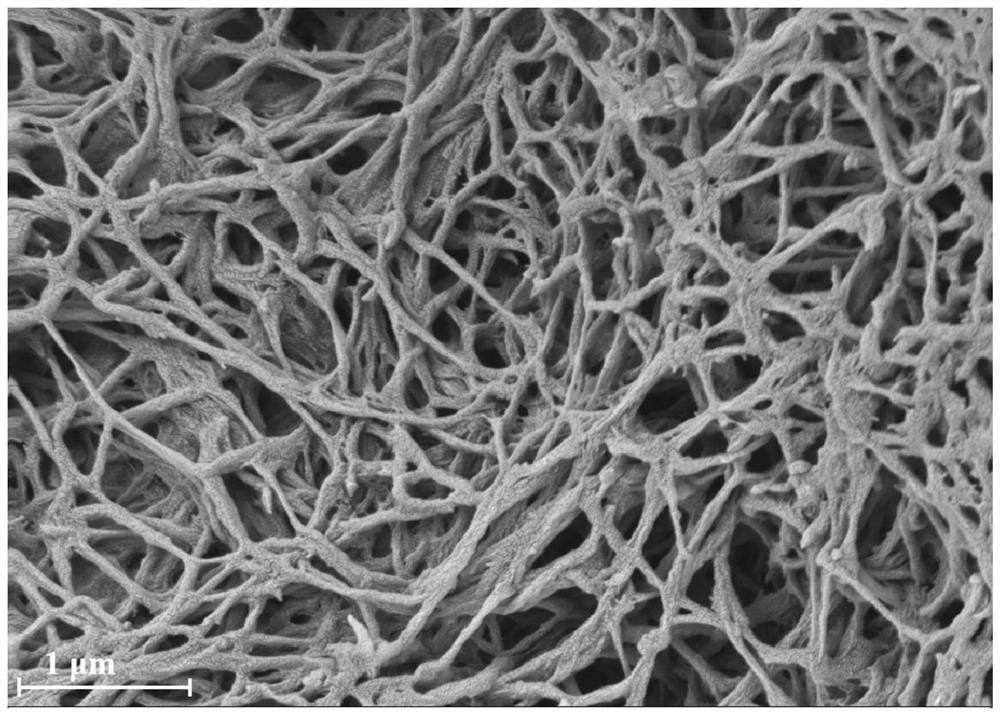 Carbon-coated carbon nitride nanowires and its preparation method and application of photocatalytic degradation of bisphenol-a