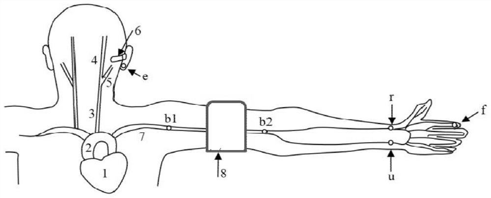Method for indirectly estimating and measuring arterial blood pressure by using PPG sensor