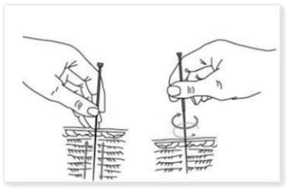 Acupuncture manipulation quantification system and method