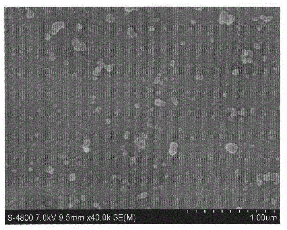 Preparation method for novel carbon-nanotube-doped composite membrane with double selective layers