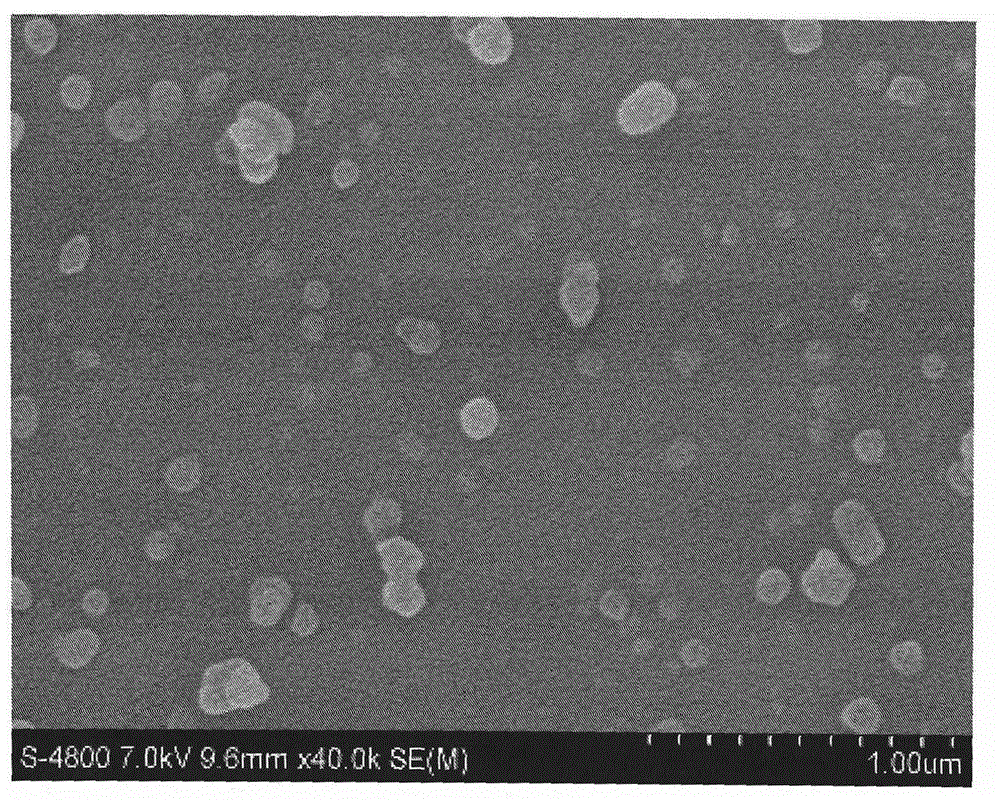 Preparation method for novel carbon-nanotube-doped composite membrane with double selective layers