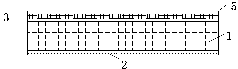Composite car panel and preparation method thereof
