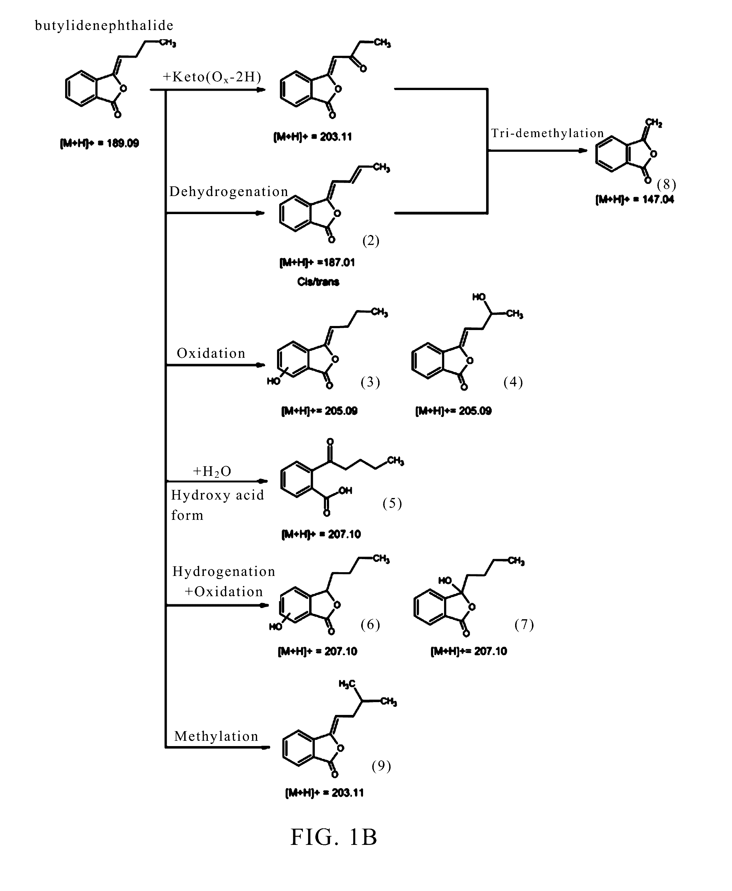 Method for providing an increased expression of telomerase, brain-derived neurotrophic factor, stromal cell-derived factor-1, cxc chemokine receptor 4, and/or immune regulatory factor of stem cell