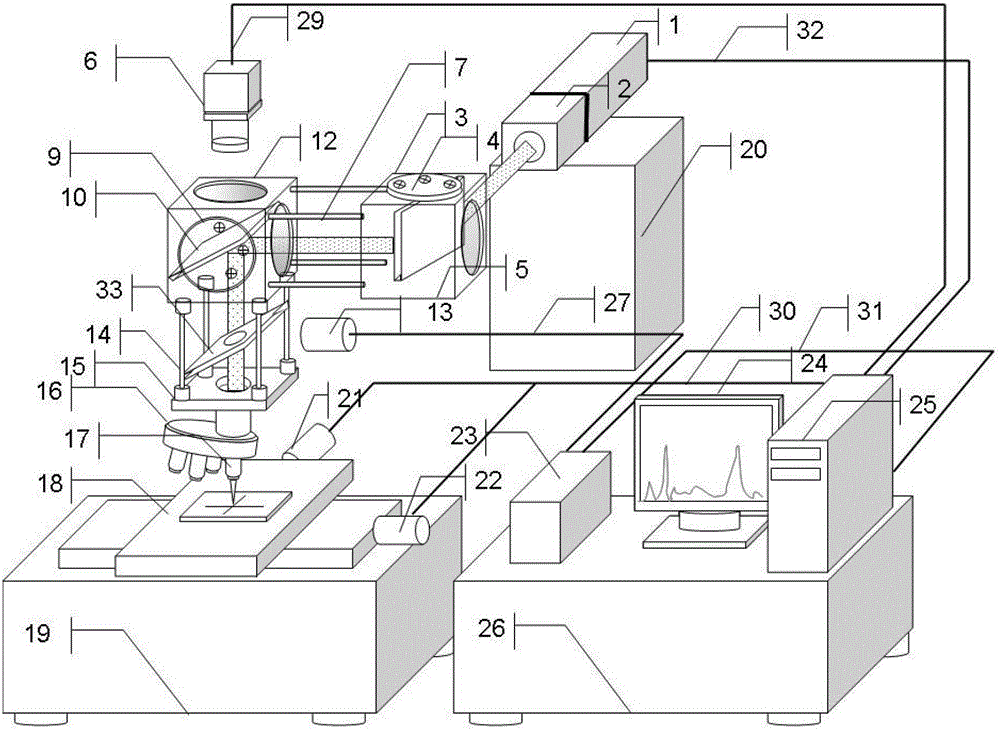 A laser probe composition analyzer integrated with macro and micro areas