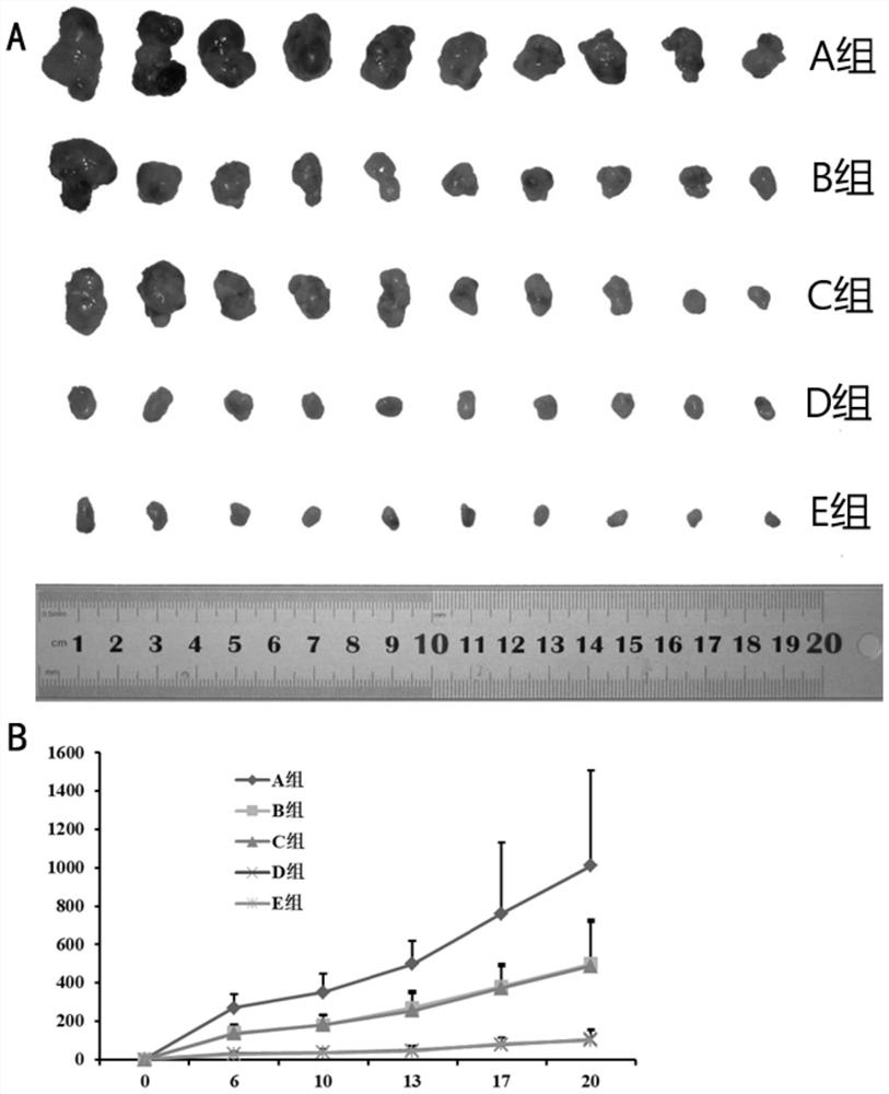 Medicine composition applied to chemotherapy of tumors