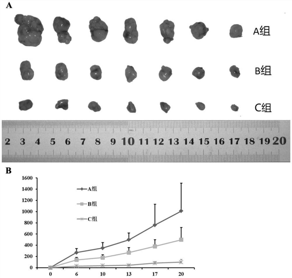 Medicine composition applied to chemotherapy of tumors