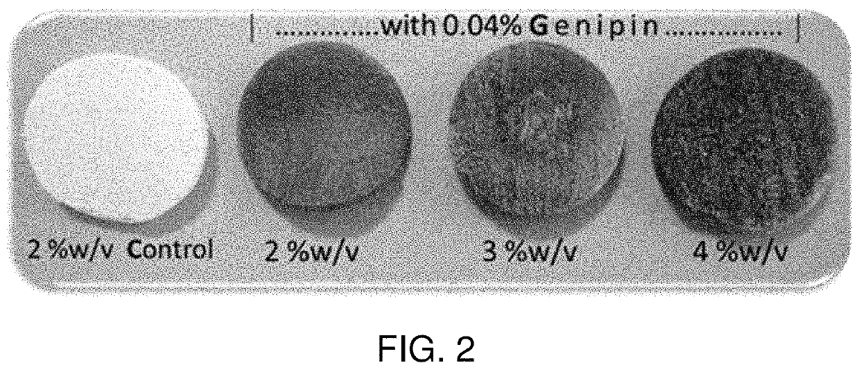 Seaweed polysaccharide based superhydrophilic foam membrane for energy-efficient oil-water separation