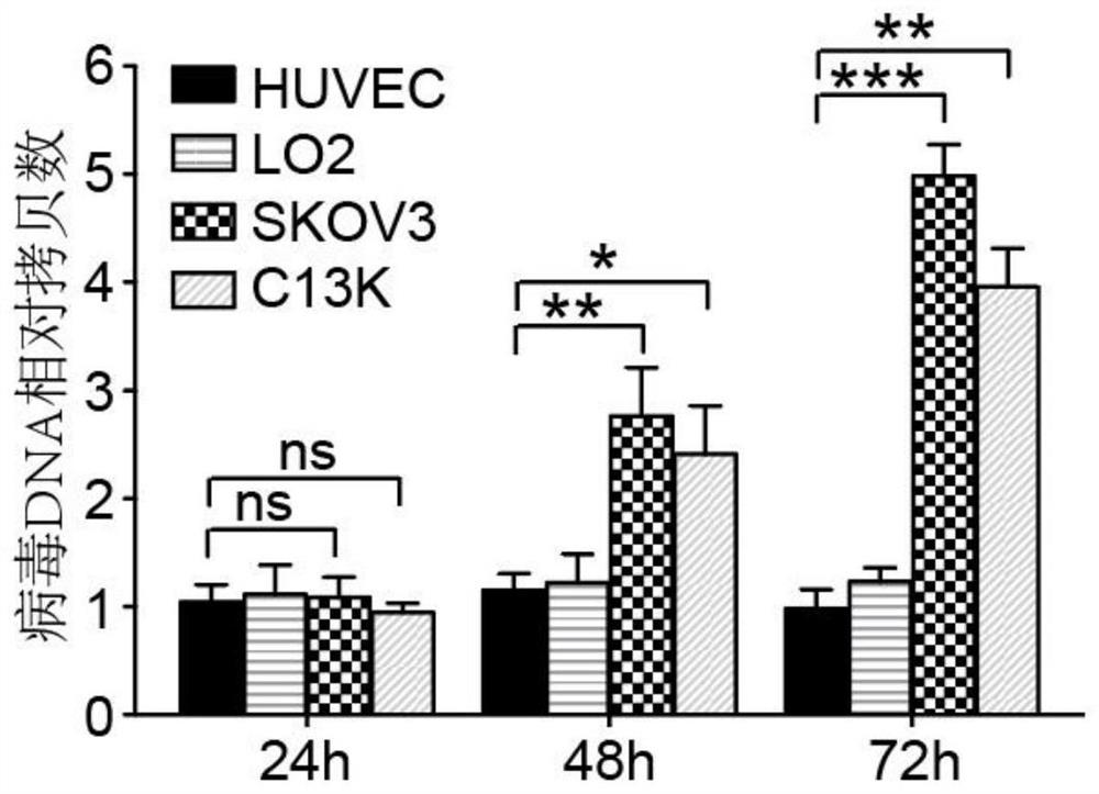 Oncolytic adenovirus recombinant carrying TMTP1 and HSV-TK as well as construction method and application of oncolytic adenovirus recombinant
