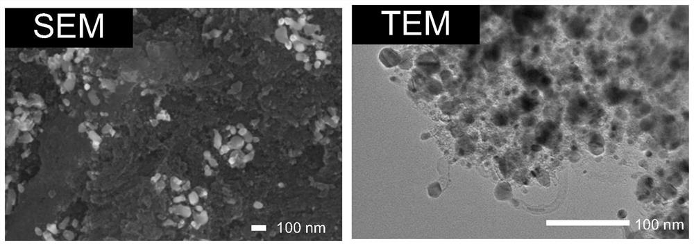 Preparation method of a transition metal-nitrogen-carbon nanotube co-doped active carbon oxygen reduction catalyst