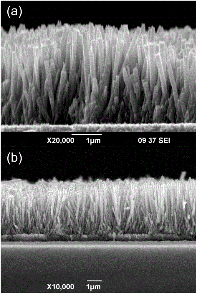 Preparation method of composite nanowire array with one-dimensional ZnO(zinc oxide)-TiO2(titanium dioxide) core-shell structure