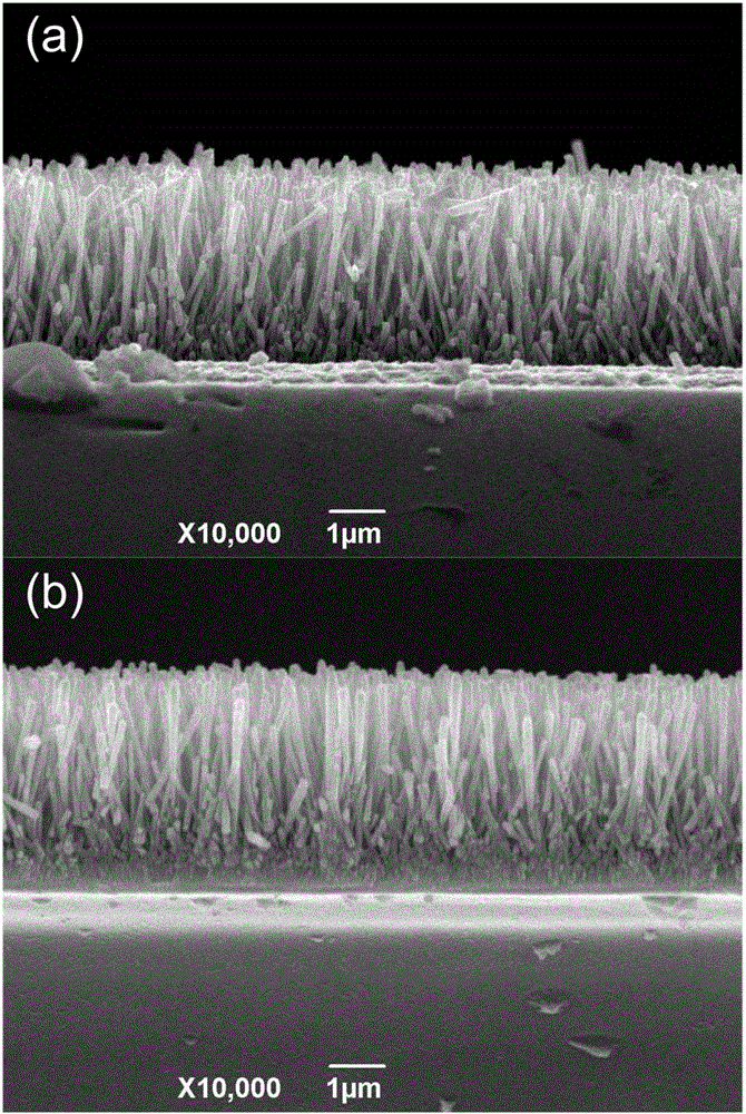 Preparation method of composite nanowire array with one-dimensional ZnO(zinc oxide)-TiO2(titanium dioxide) core-shell structure