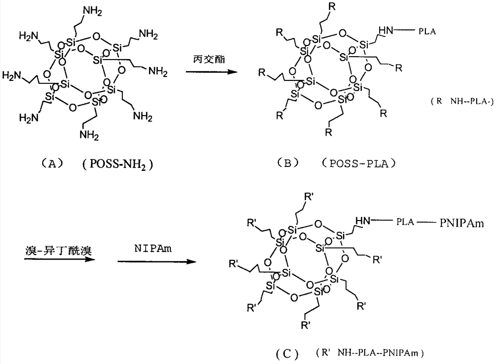 POSS/poly lactic acid and poly(n-isopropyl acrylamide) star block copolymer preparation