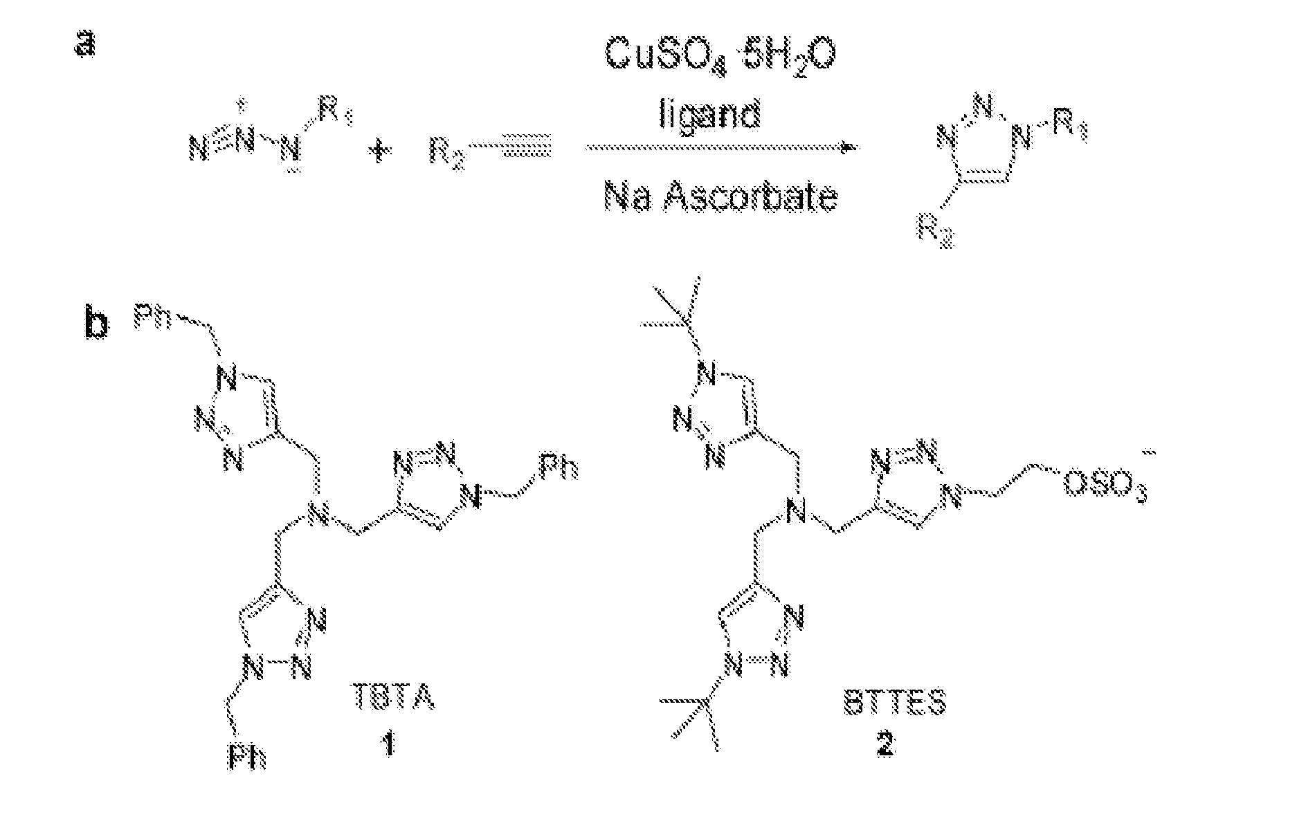 Ligands and methods for labeling biomolecules in vivo