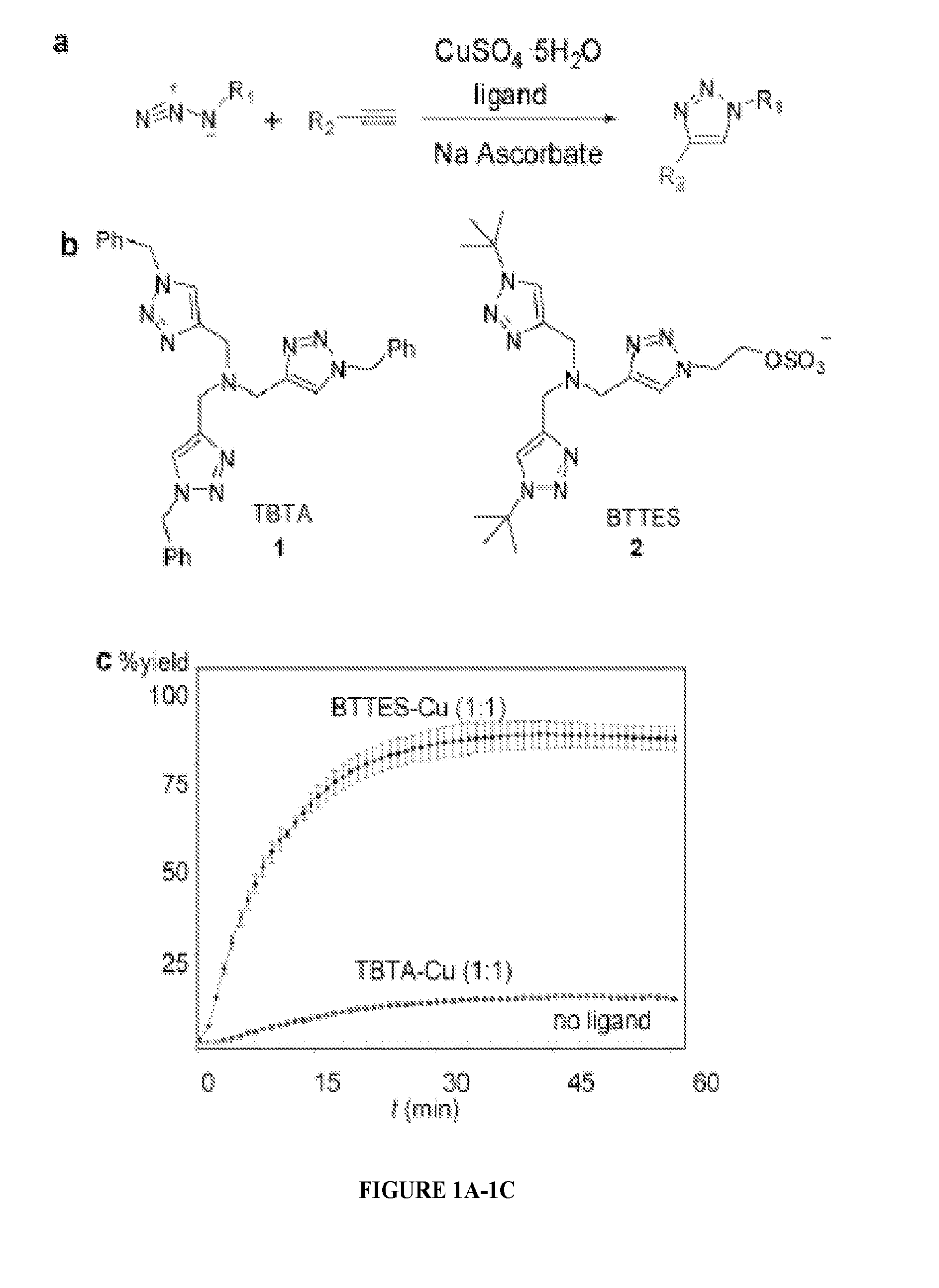 Ligands and methods for labeling biomolecules in vivo