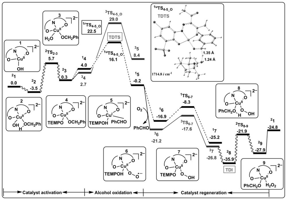 Reaction Mechanism Study and Analysis Method of Aerobic Oxidation of Benzyl Alcohol to Benzaldehyde with Amphoteric Water-Soluble Catalyst