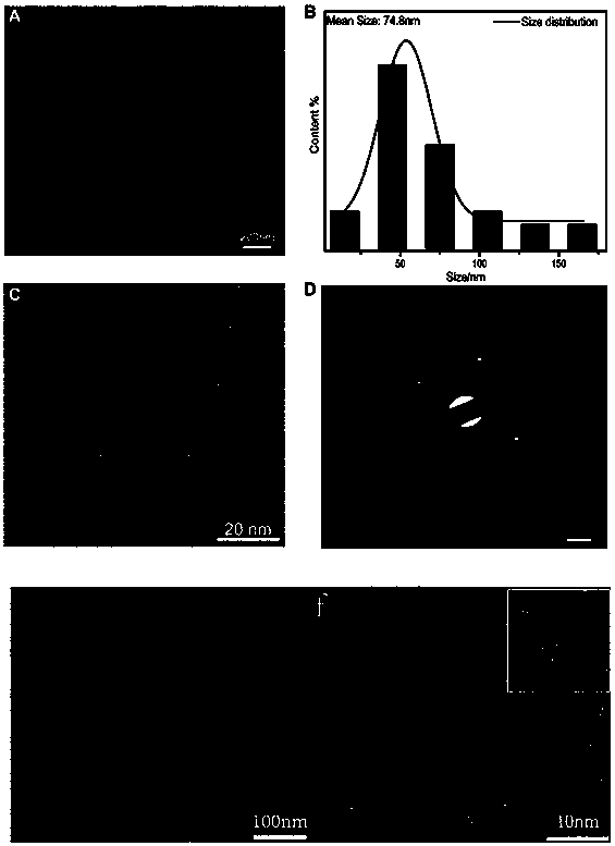 Nanodiamond-based drug carrier, drug complex, preparation method and application thereof