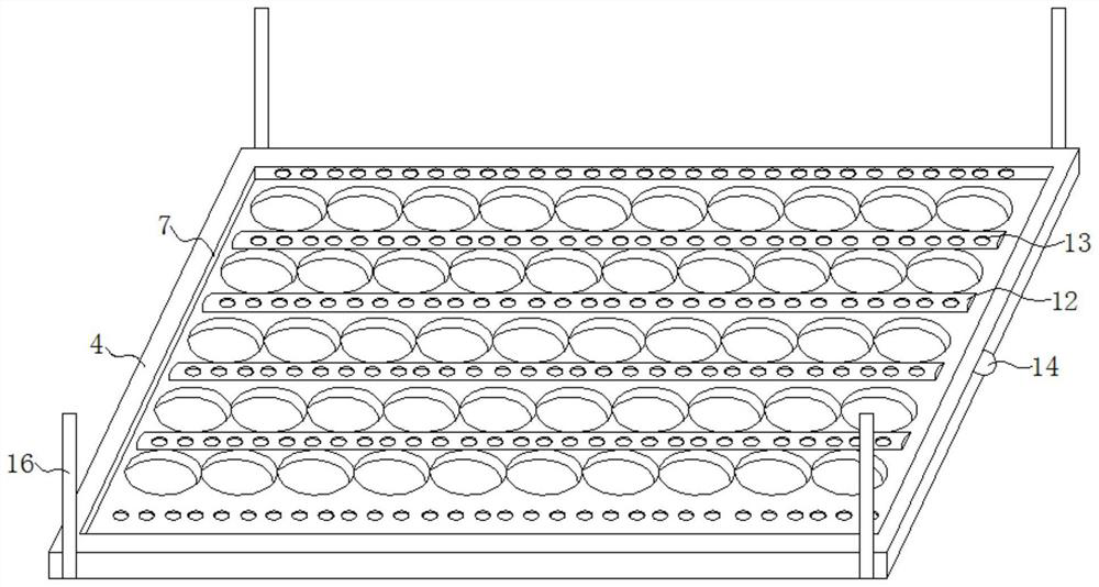 A food processing device for jujube processing based on static drying