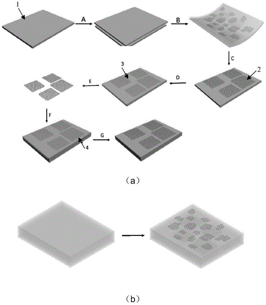 Large monocrystal graphene and preparation method thereof